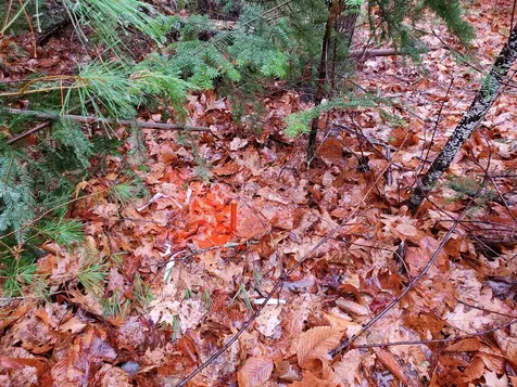 000 West Farms Road Canaan NH 03741