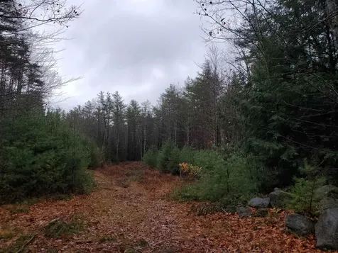 000 West Farms Road Canaan NH 03741