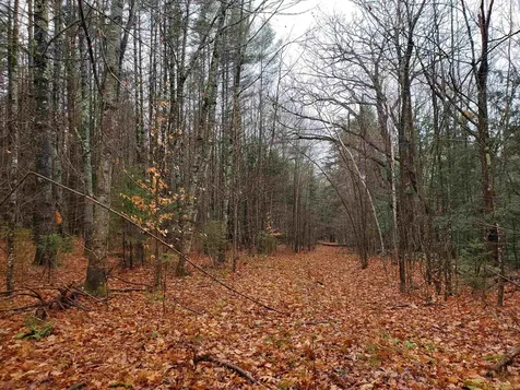 000 West Farms Road Canaan NH 03741