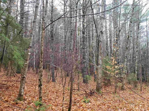 000 West Farms Road Canaan NH 03741