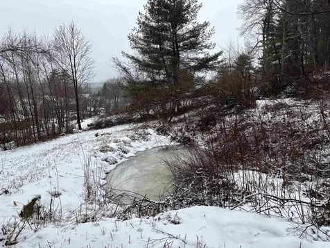 196 North Street Chester VT 05143