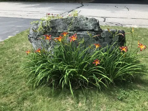 38 Birch Hill Estates Road Wolfeboro NH 03894