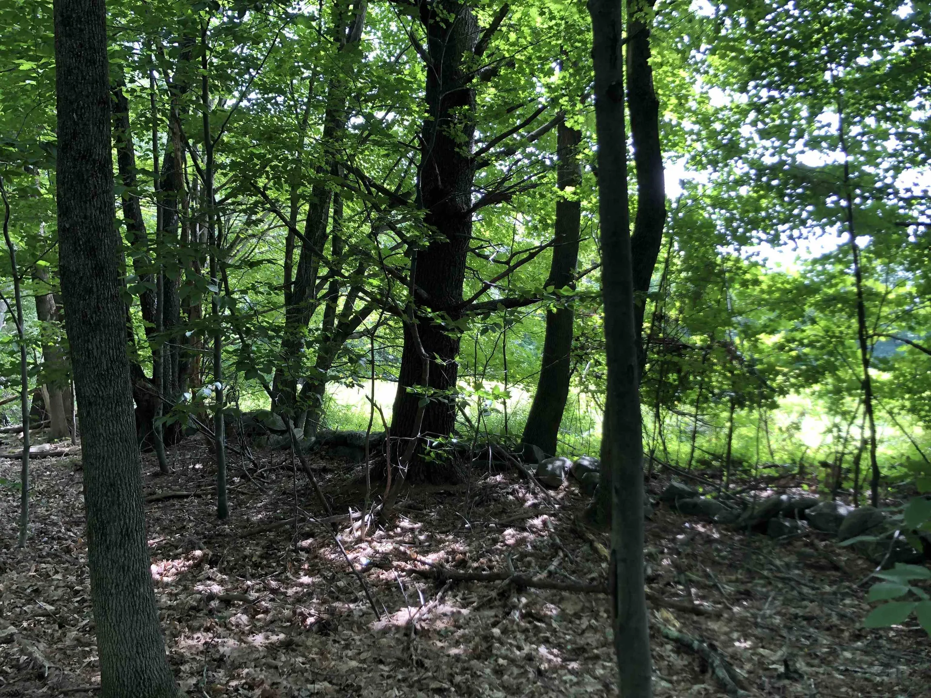 00 Old New Hampshire Turnpike Northwood NH 03261