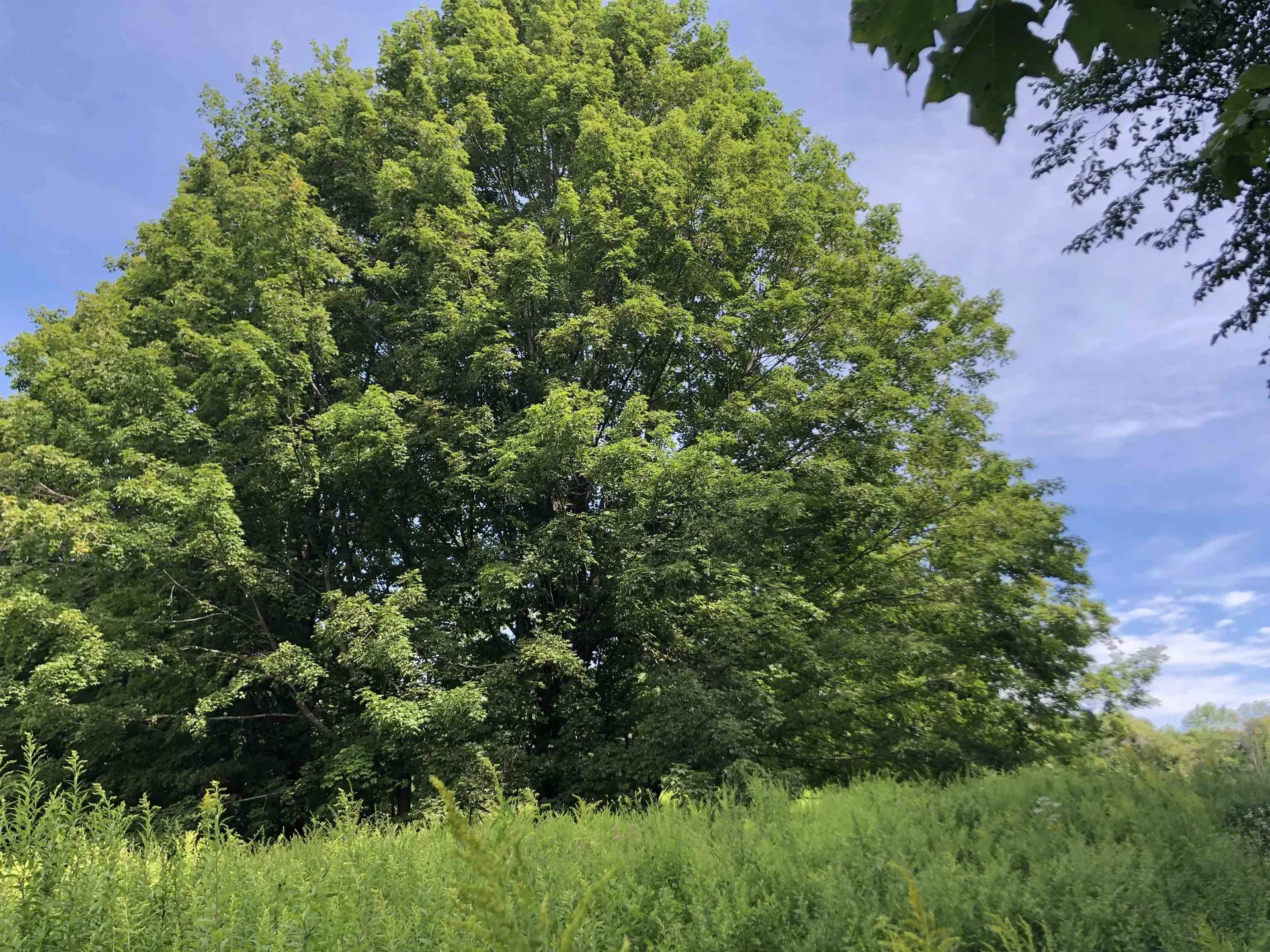 00 Old New Hampshire Turnpike Northwood NH 03261