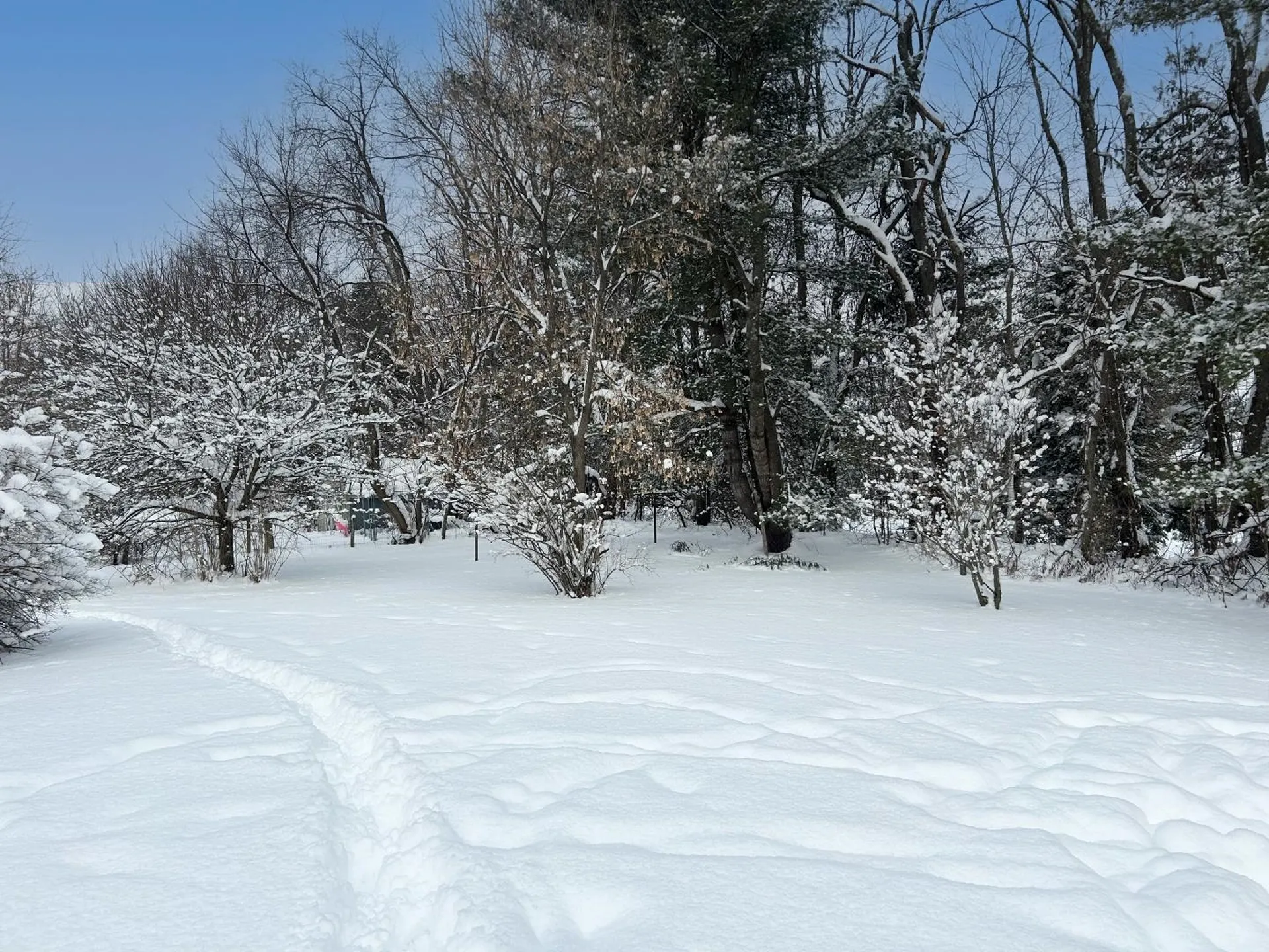 92 Sunny View Drive Jericho VT 05465