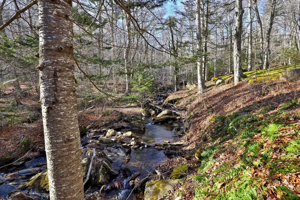 644 Trailview Drive Killington VT 05751