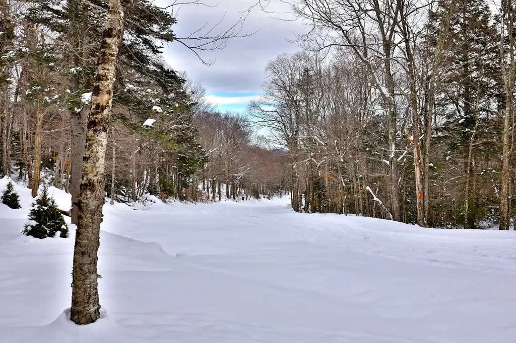 644 Trailview Drive Killington VT 05751