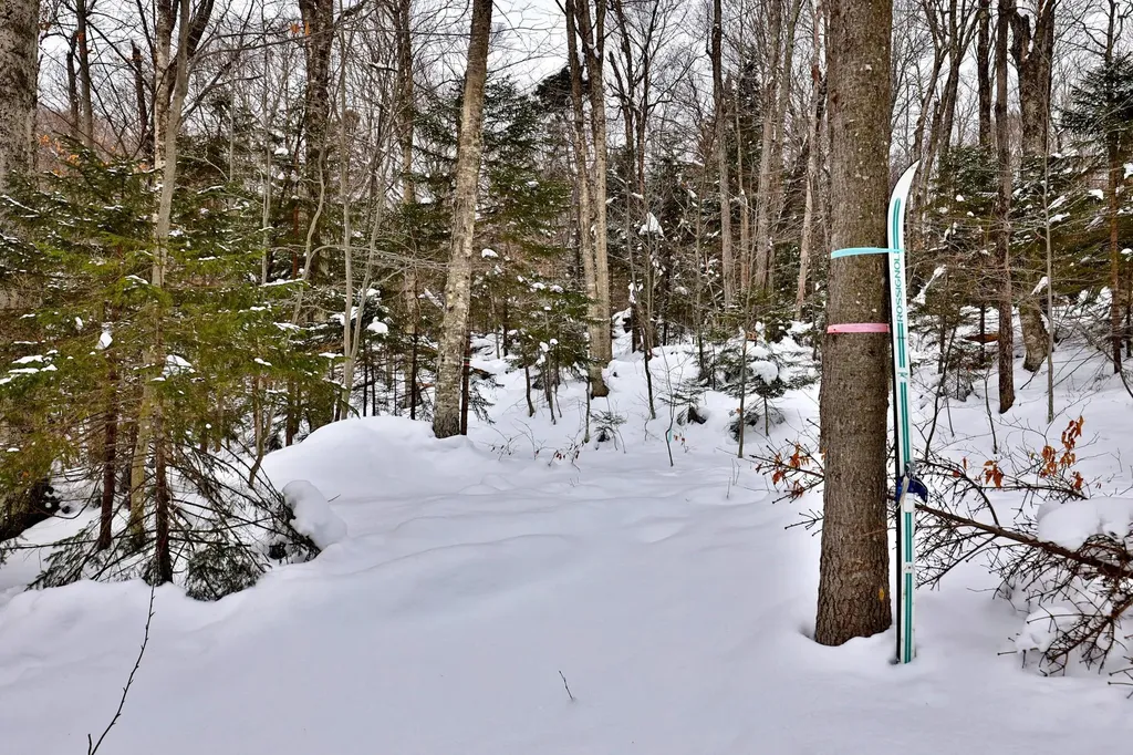 644 Trailview Drive Killington VT 05751