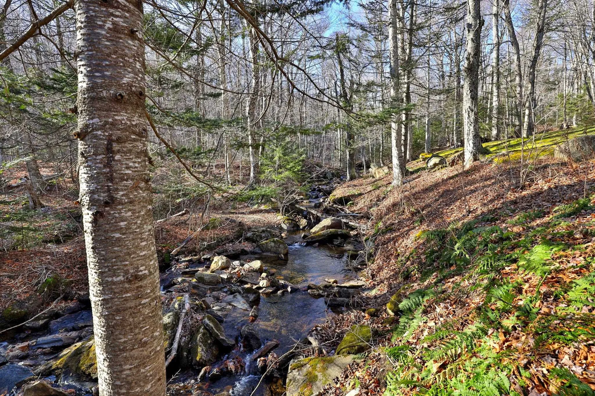 644 Trailview Drive Killington VT 05751