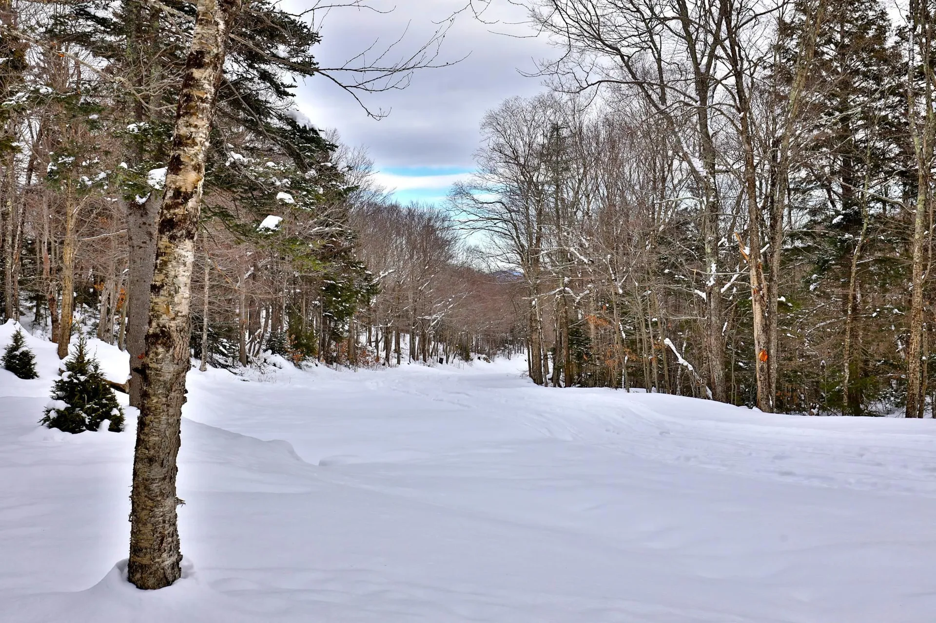 644 Trailview Drive Killington VT 05751