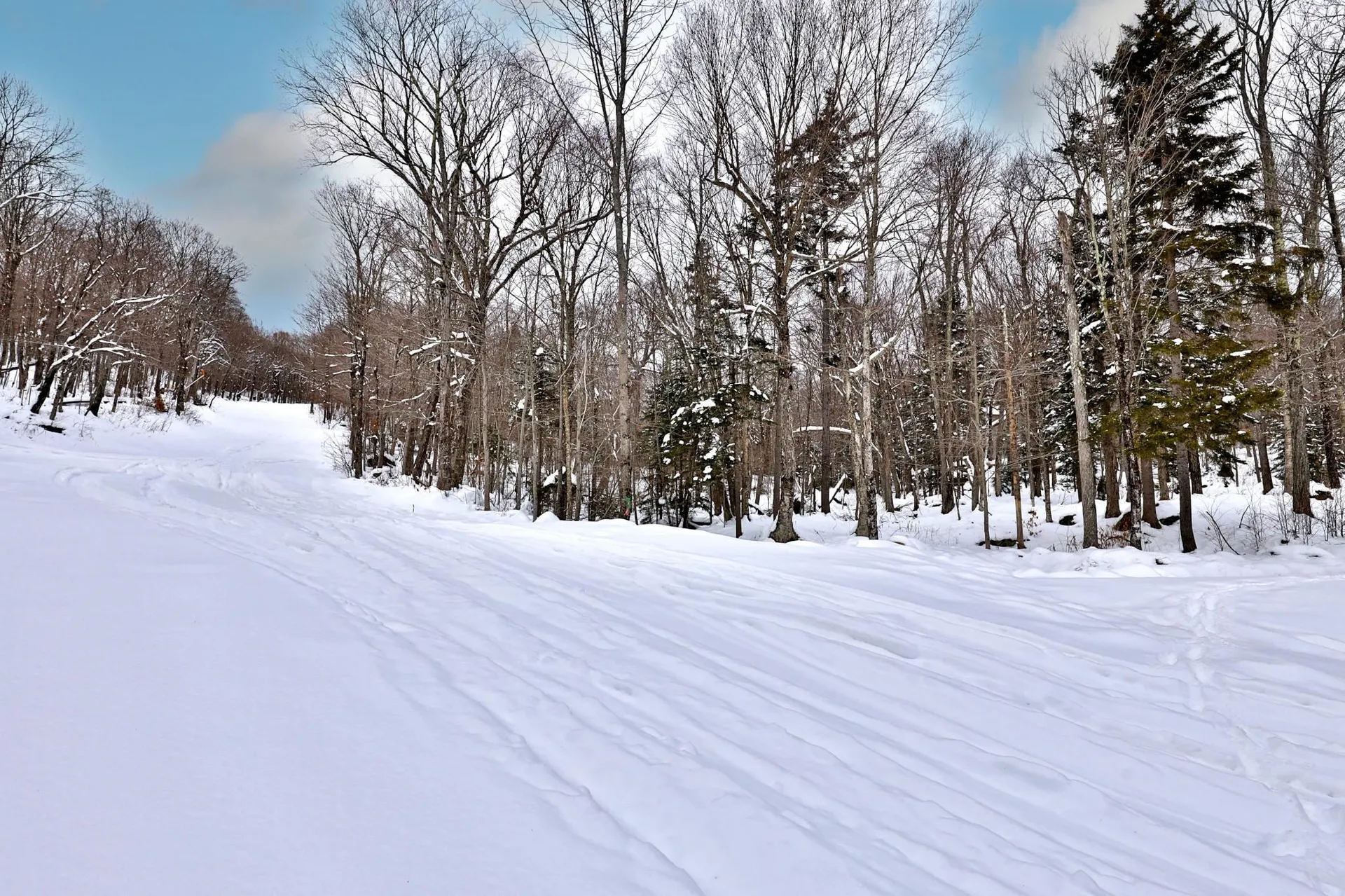 644 Trailview Drive Killington VT 05751