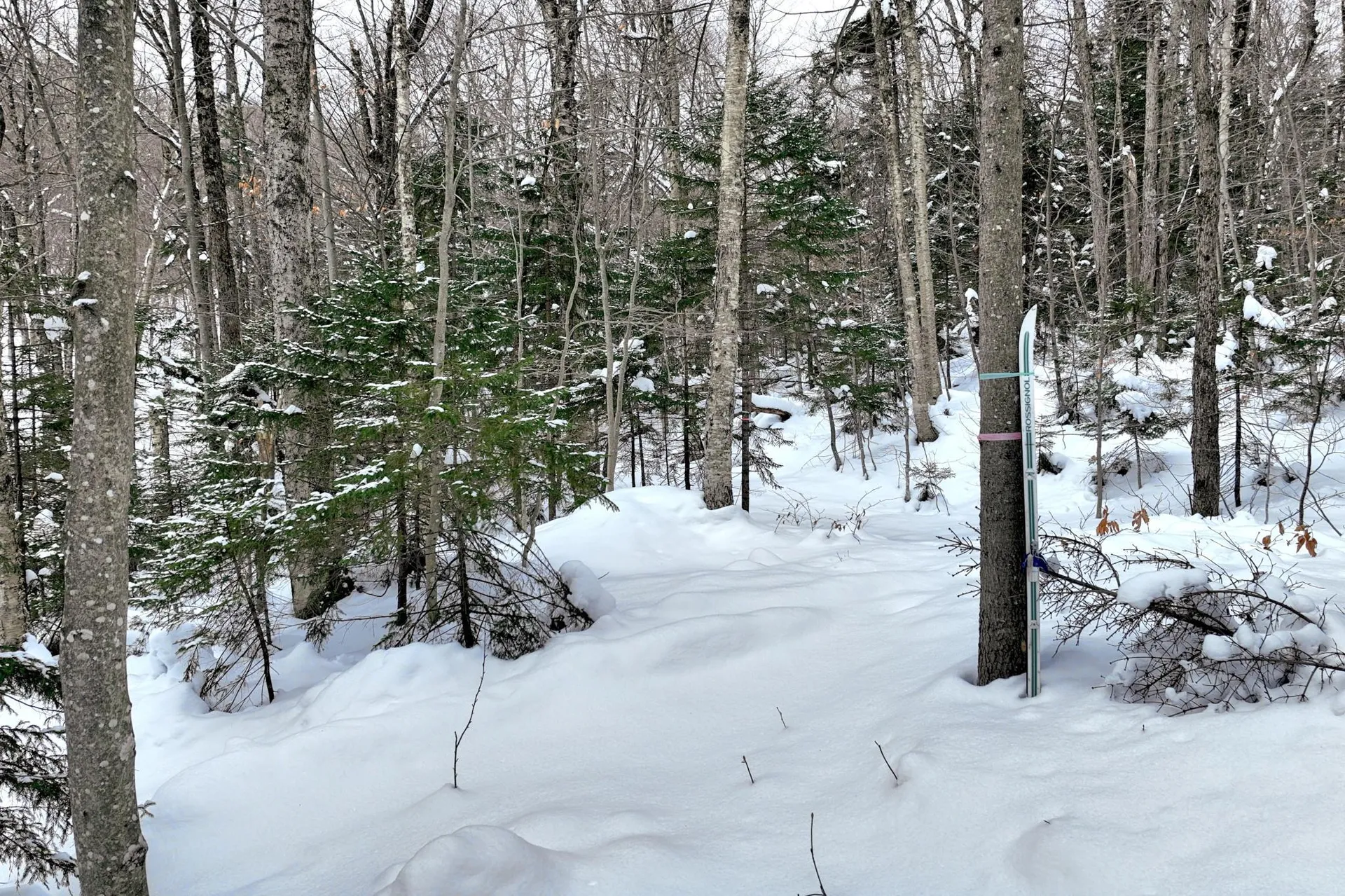 644 Trailview Drive Killington VT 05751