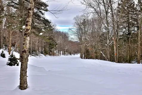 644 Trailview Drive Killington VT 05751