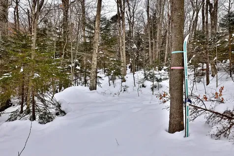 644 Trailview Drive Killington VT 05751