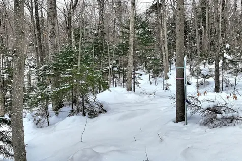 644 Trailview Drive Killington VT 05751