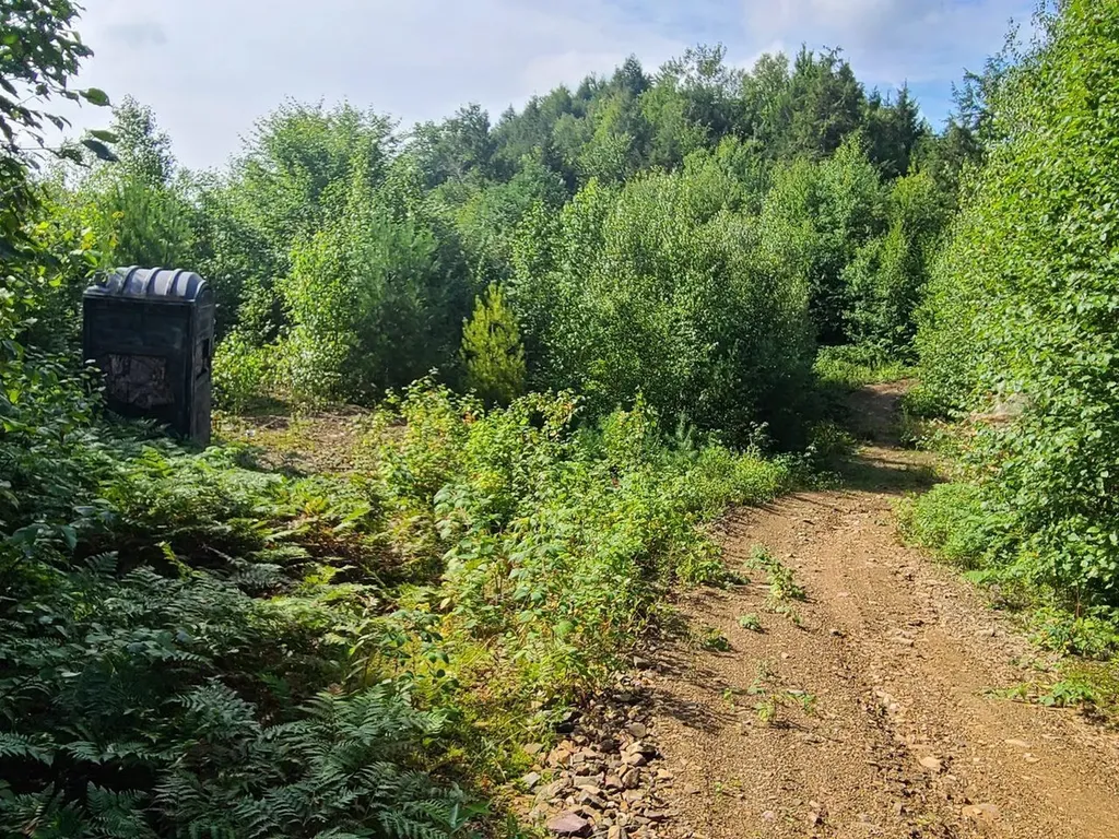 1501 Eligo Lake Road Greensboro VT 05843