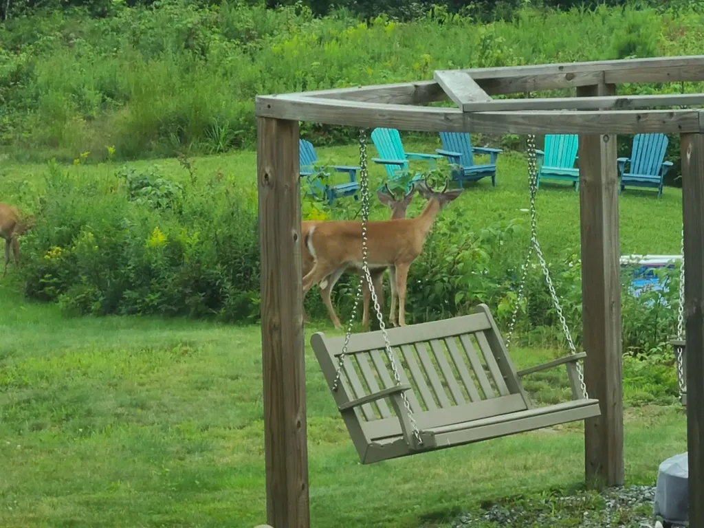 1501 Eligo Lake Road Greensboro VT 05843