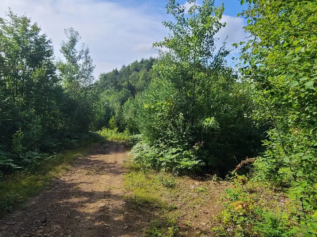 1501 Eligo Lake Road Greensboro VT 05843