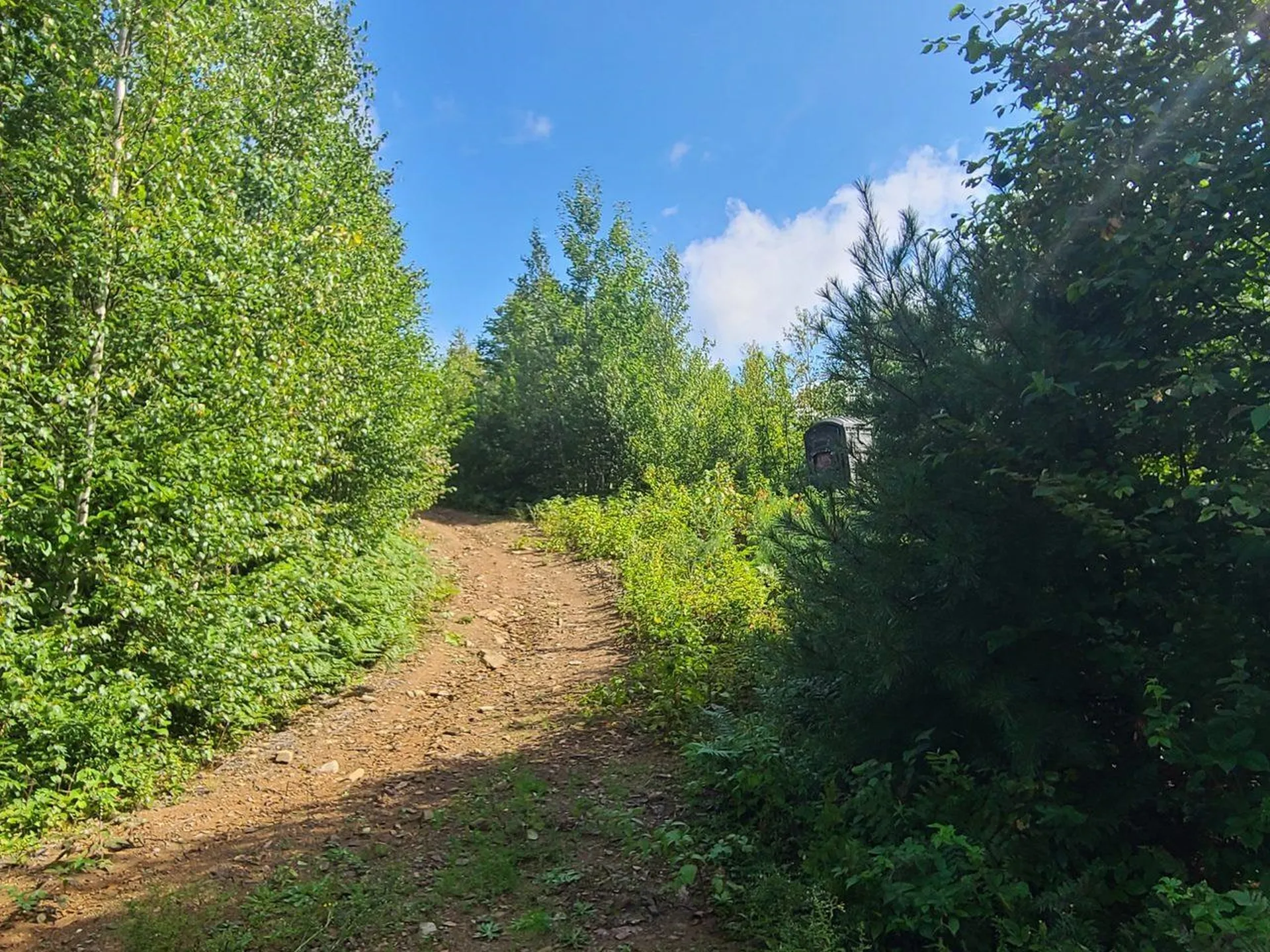 1501 Eligo Lake Road Greensboro VT 05843