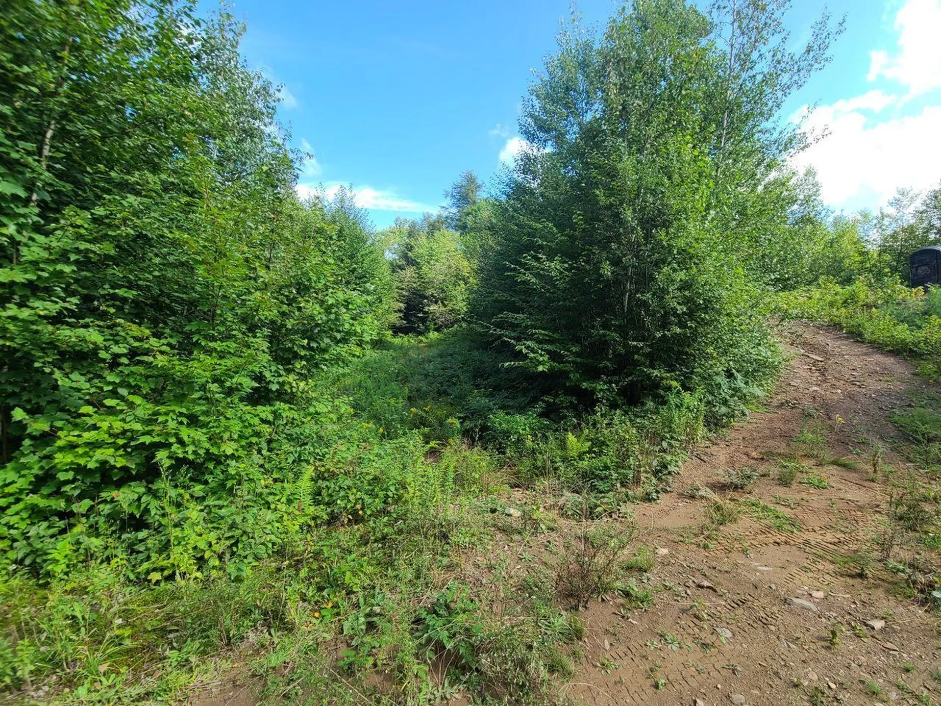 1501 Eligo Lake Road Greensboro VT 05843