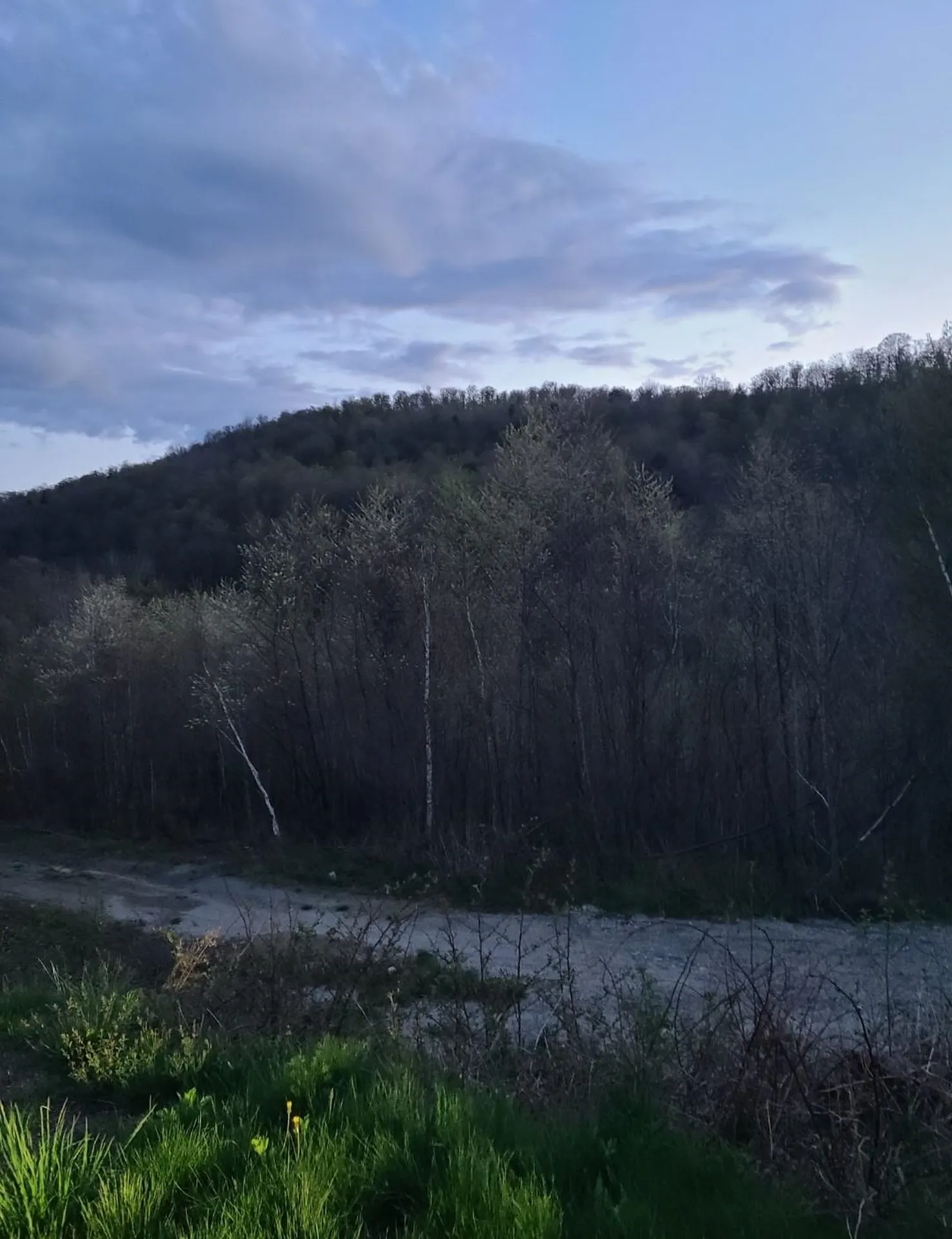 1501 Eligo Lake Road Greensboro VT 05843