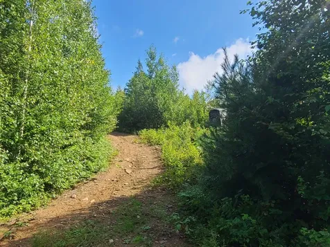 1501 Eligo Lake Road Greensboro VT 05843