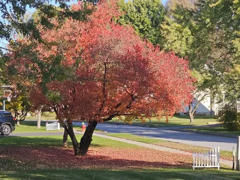 15 Sunset Drive Vergennes VT 05491