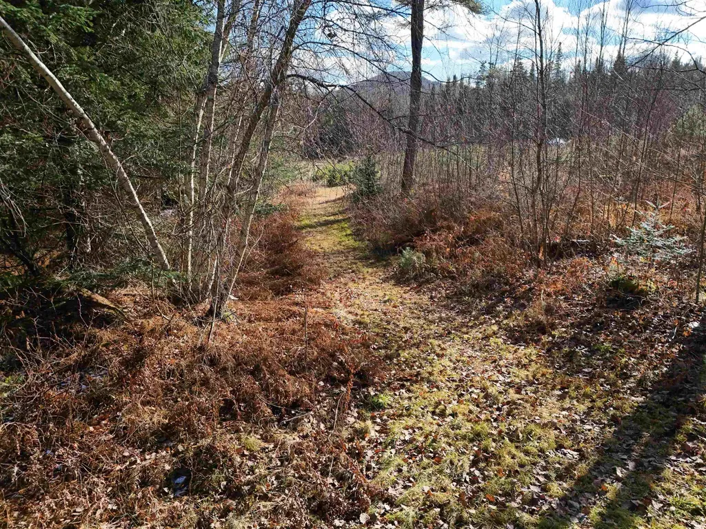 0 Powder Spring Road Groton VT 05046