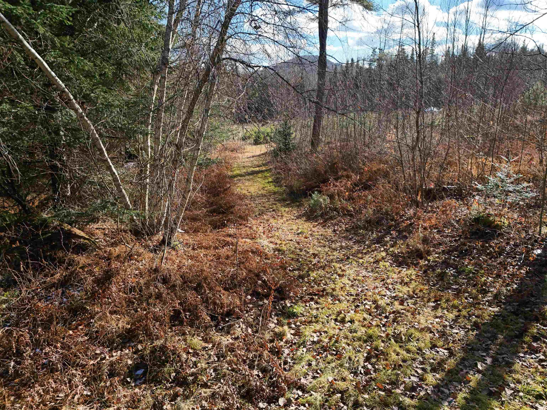 0 Powder Spring Road Groton VT 05046