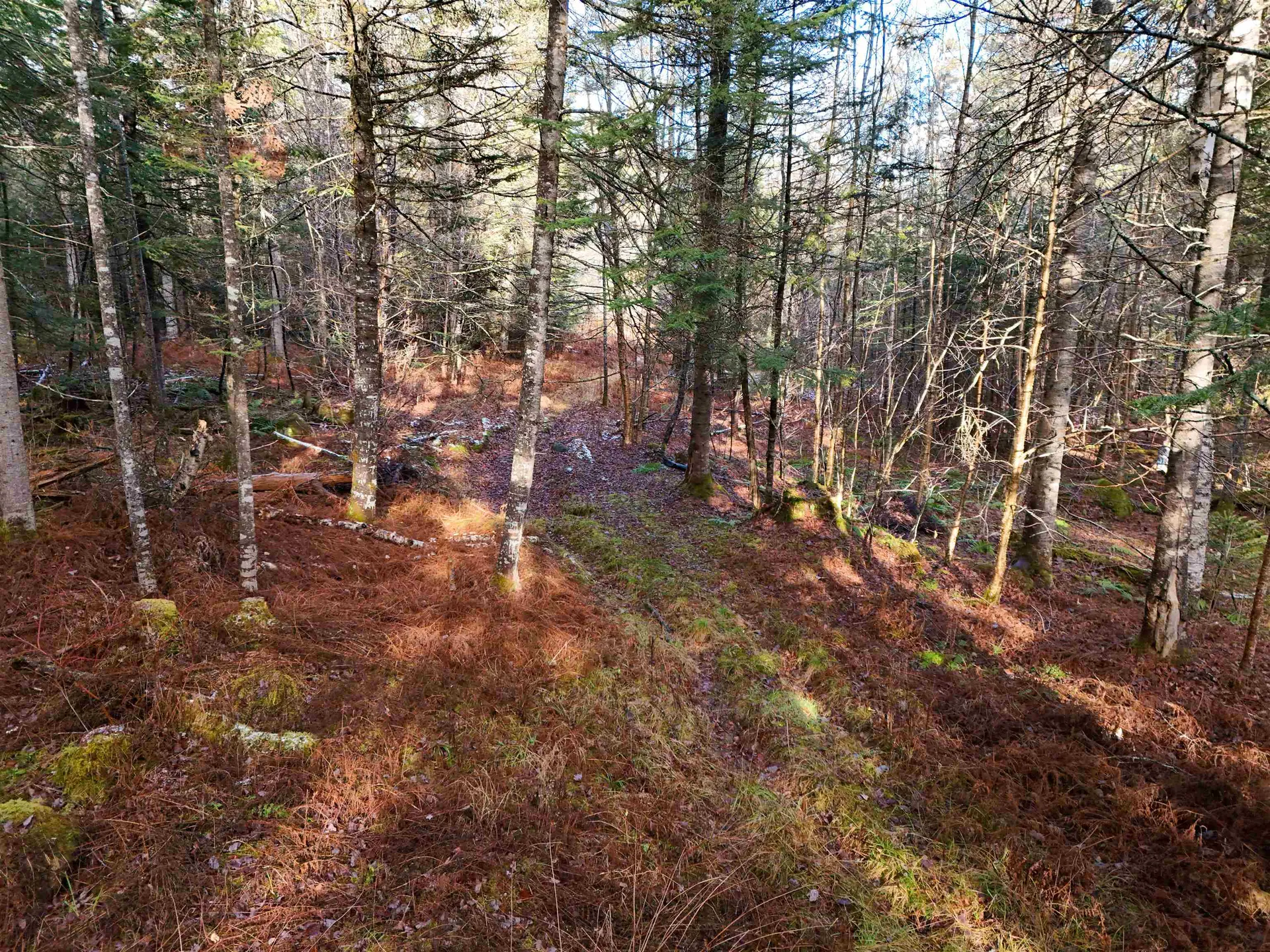 0 Powder Spring Road Groton VT 05046