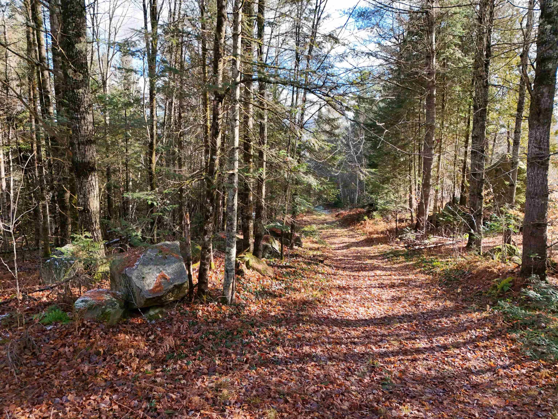 0 Powder Spring Road Groton VT 05046
