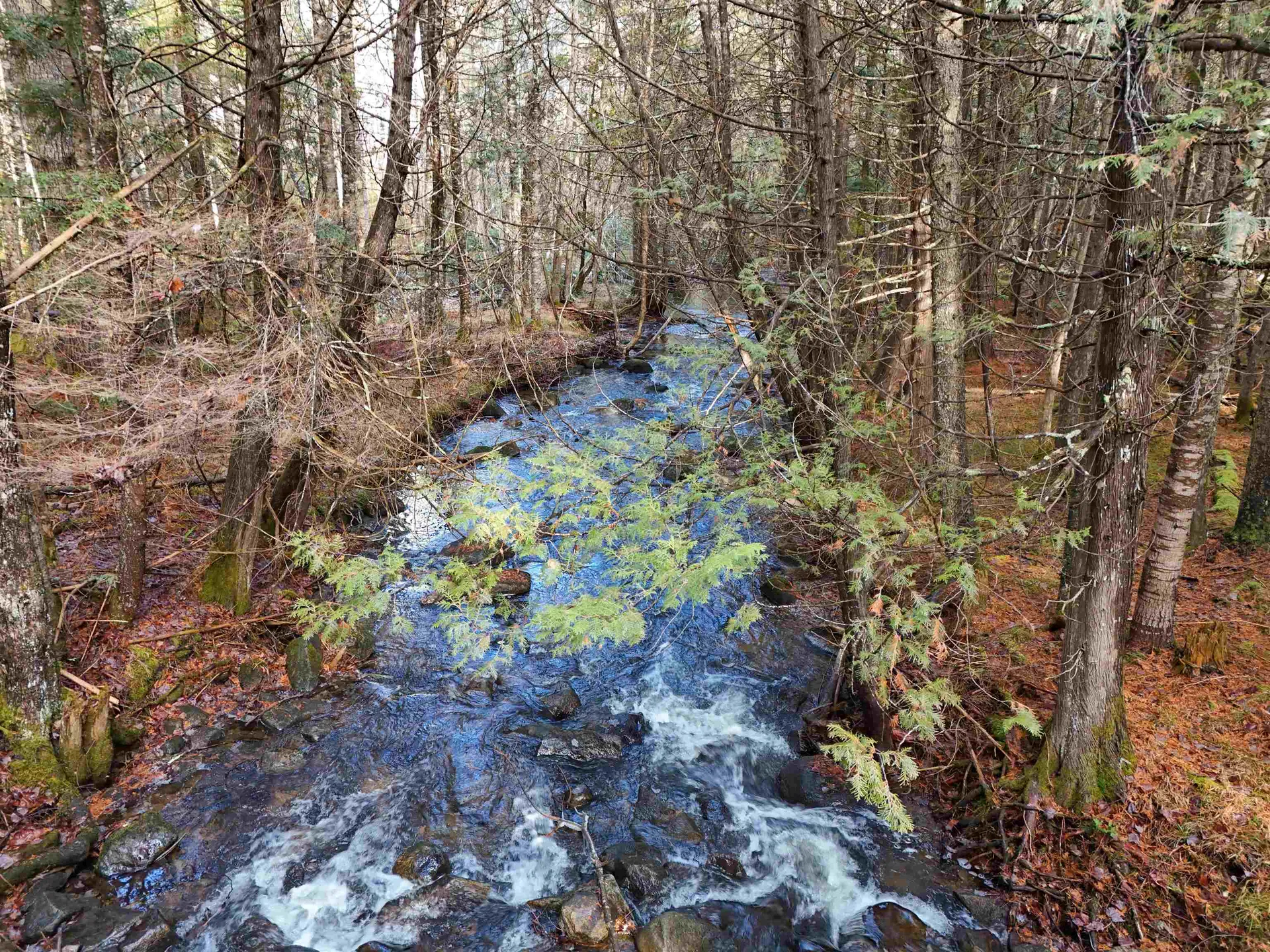 0 Powder Spring Road Groton VT 05046