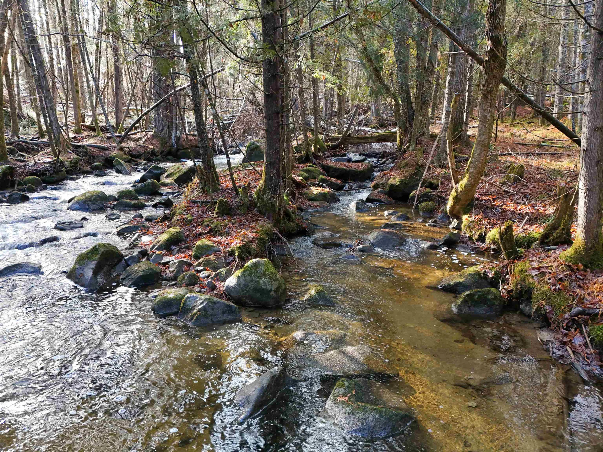 0 Powder Spring Road Groton VT 05046