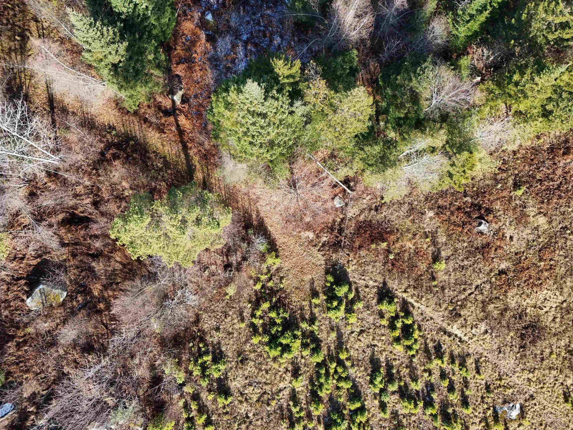 0 Powder Spring Road Groton VT 05046