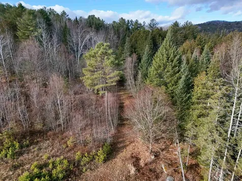 0 Powder Spring Road Groton VT 05046