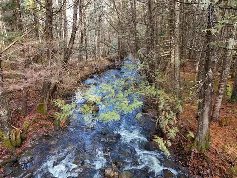 0 Powder Spring Road Groton VT 05046