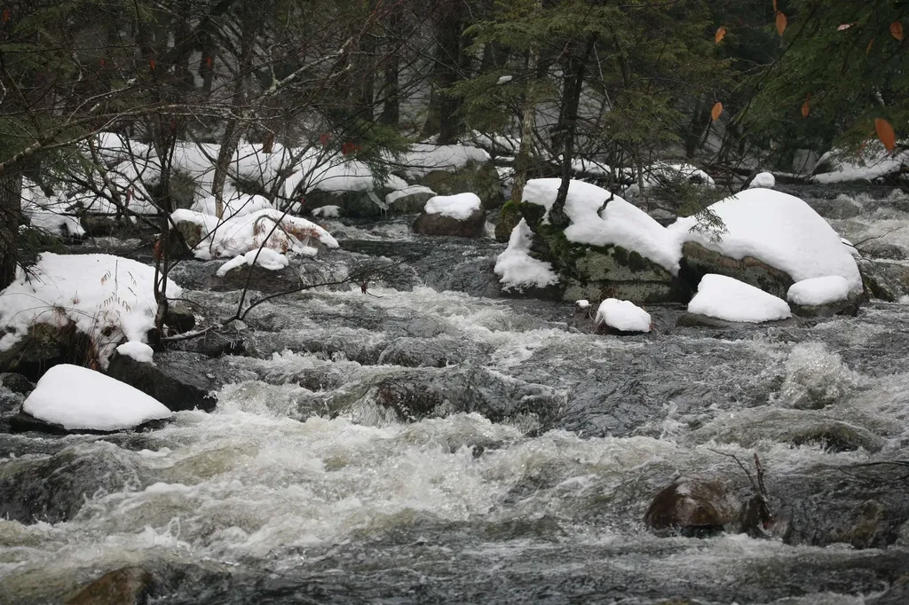 481 Chocorua Mountain Highway Tamworth NH 03886