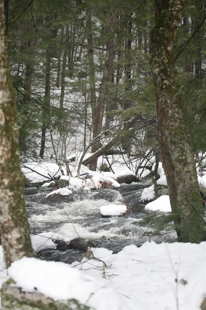 481 Chocorua Mountain Highway Tamworth NH 03886