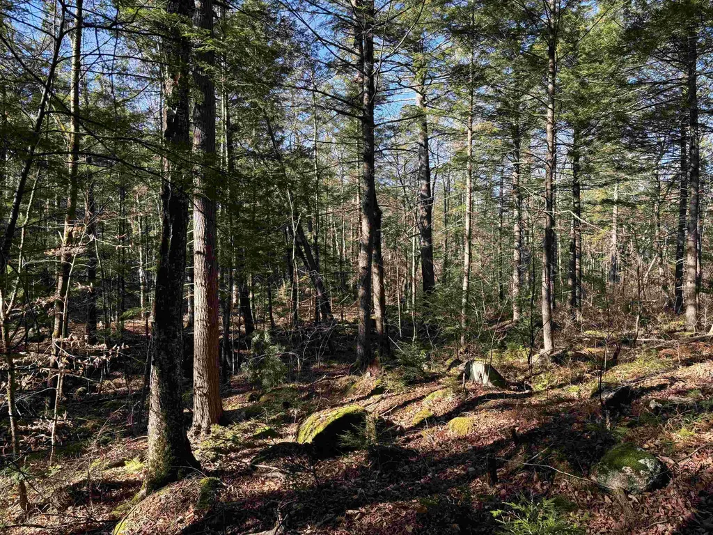 481 Chocorua Mountain Highway Tamworth NH 03886