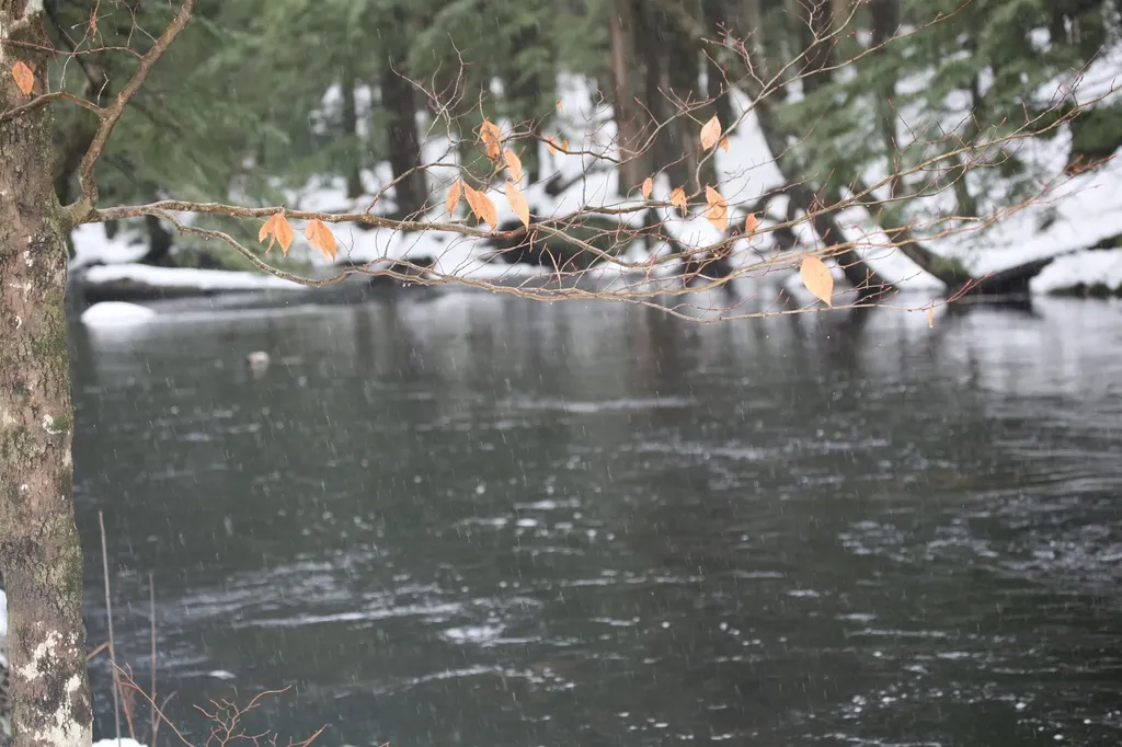 481 Chocorua Mountain Highway Tamworth NH 03886