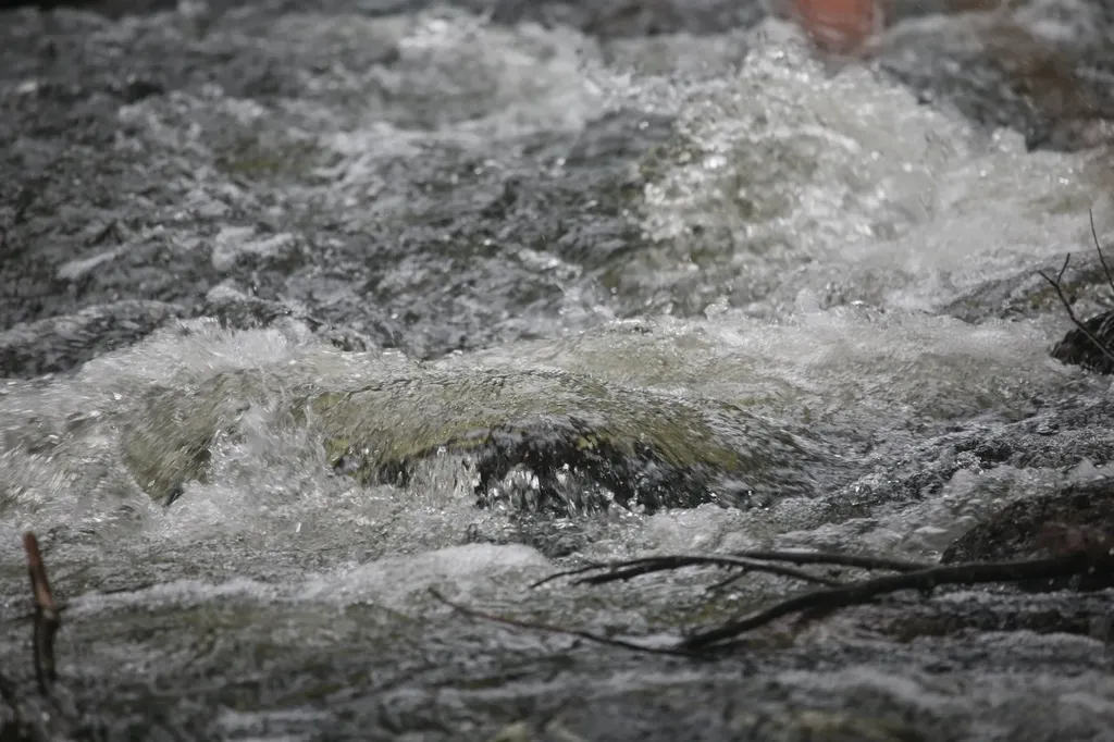 481 Chocorua Mountain Highway Tamworth NH 03886