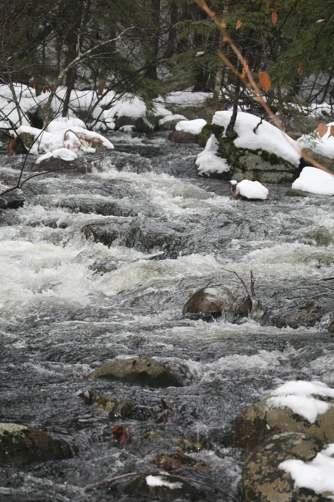 481 Chocorua Mountain Highway Tamworth NH 03886