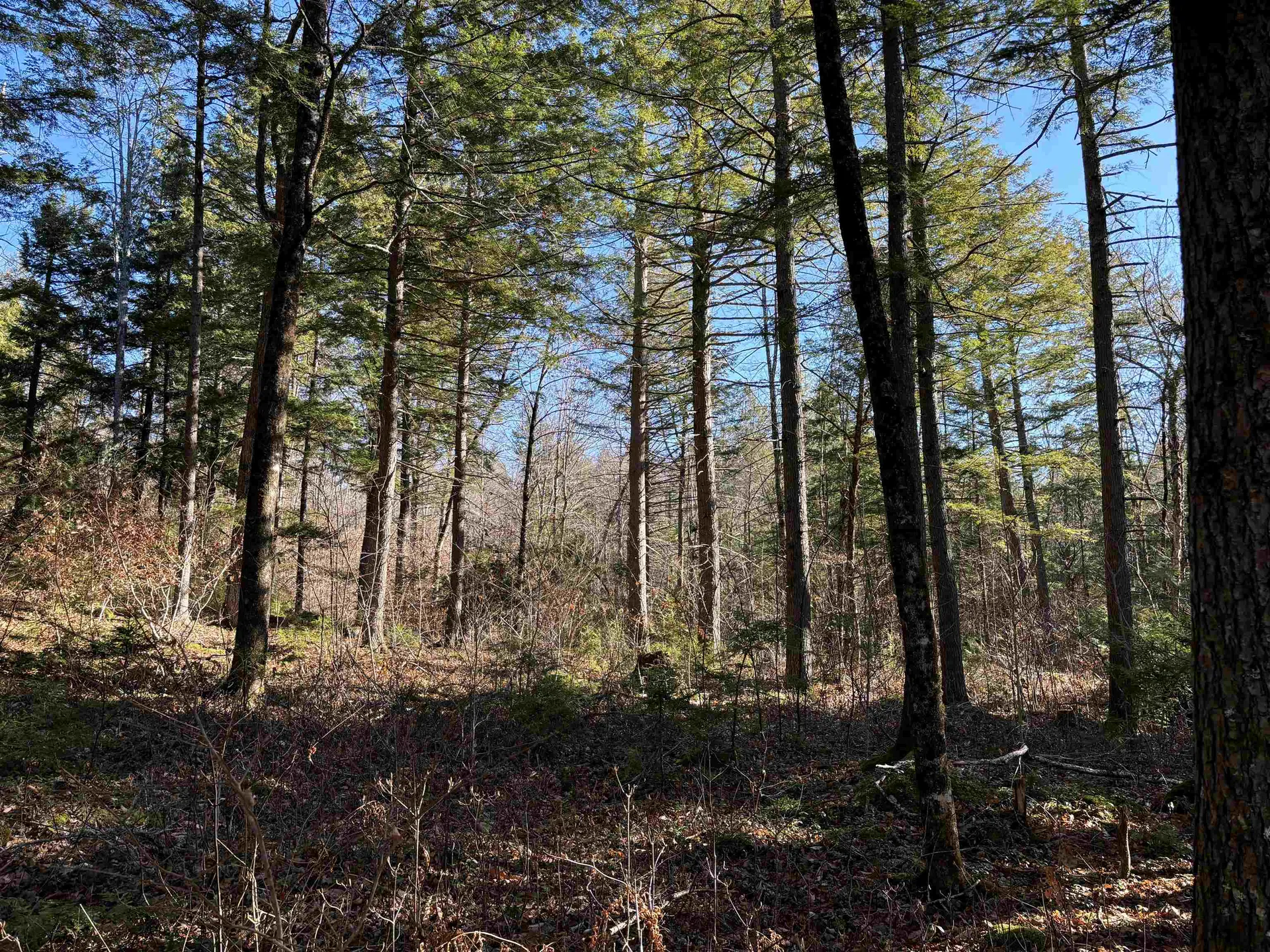 481 Chocorua Mountain Highway Tamworth NH 03886