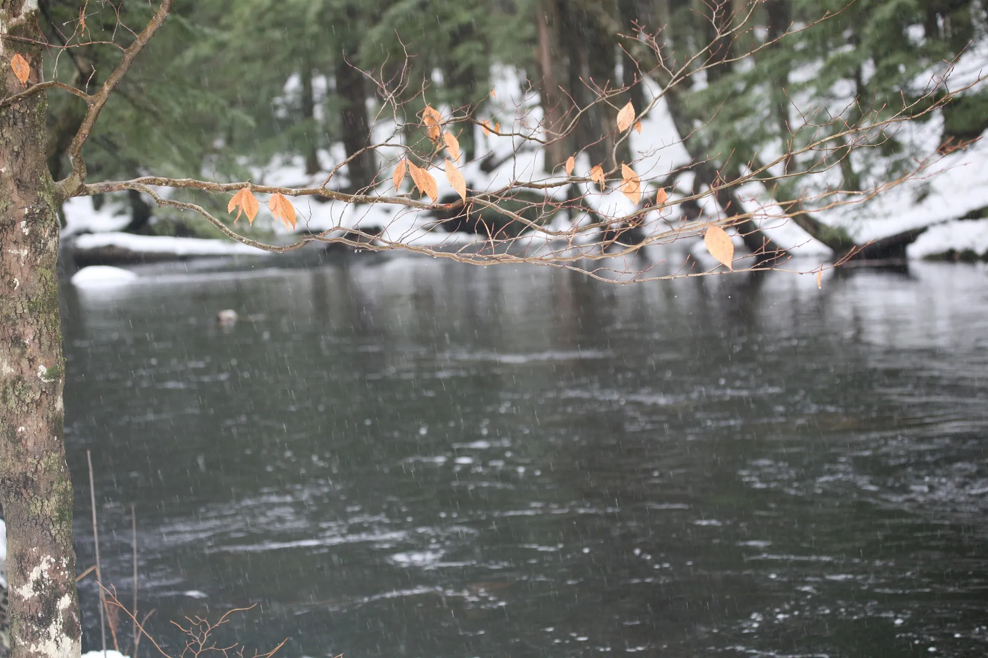 481 Chocorua Mountain Highway Tamworth NH 03886