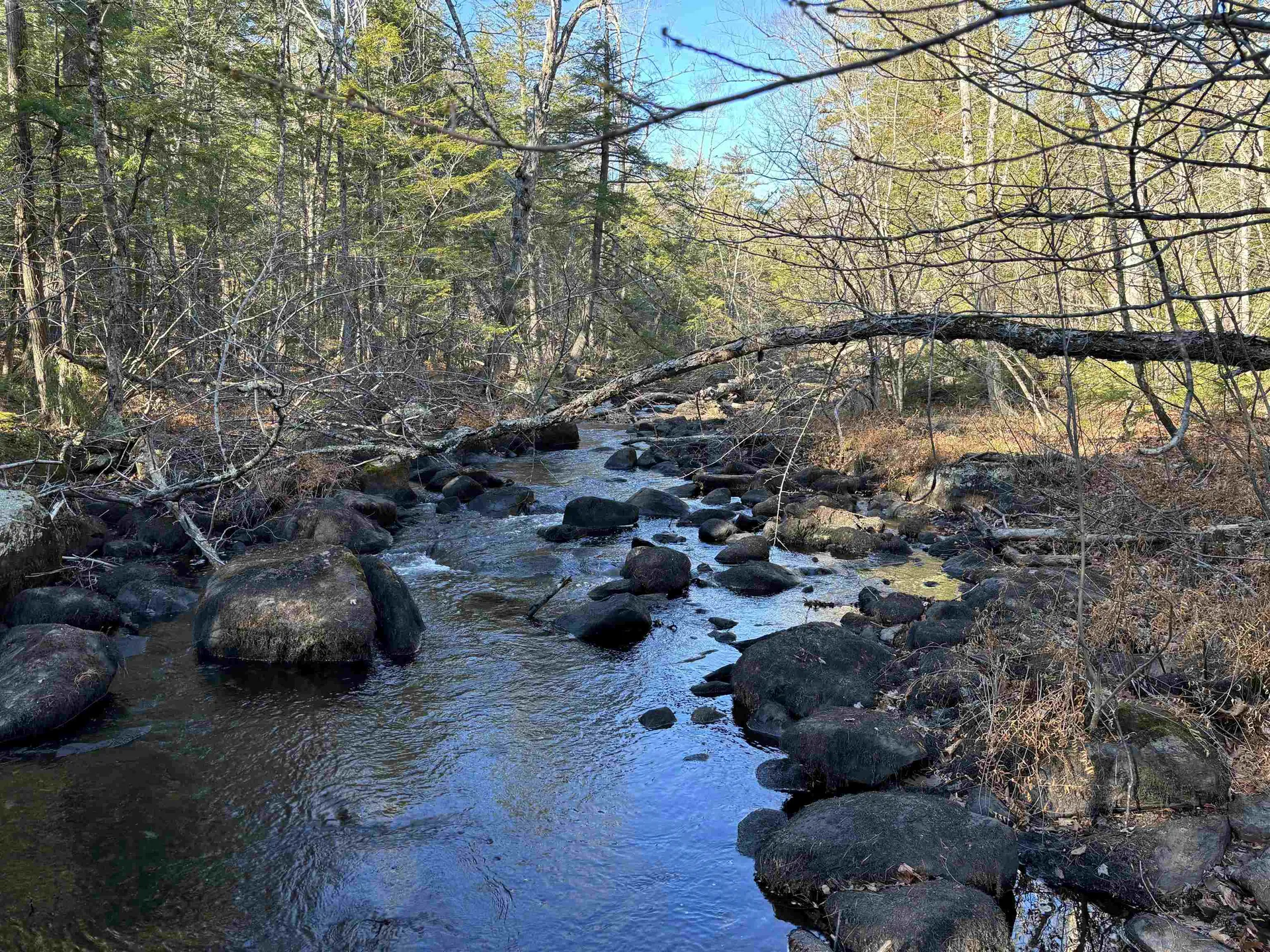 481 Chocorua Mountain Highway Tamworth NH 03886