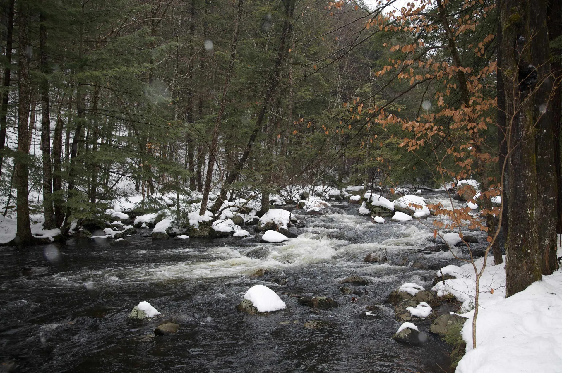 481 Chocorua Mountain Highway Tamworth NH 03886
