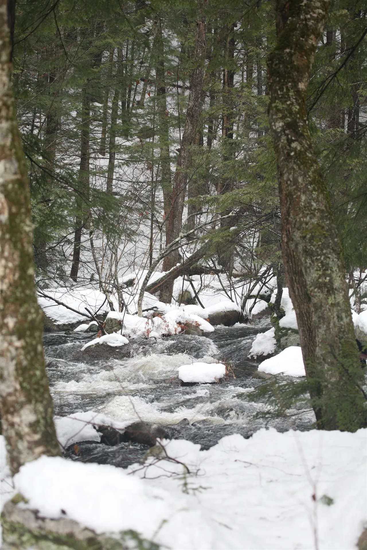 481 Chocorua Mountain Highway Tamworth NH 03886