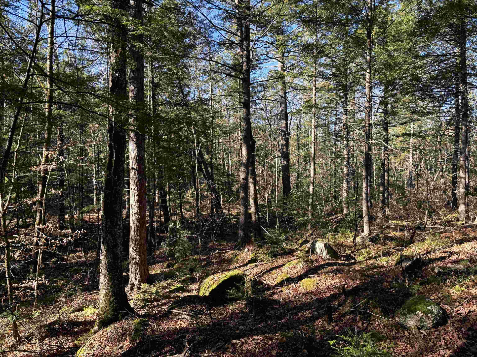 481 Chocorua Mountain Highway Tamworth NH 03886