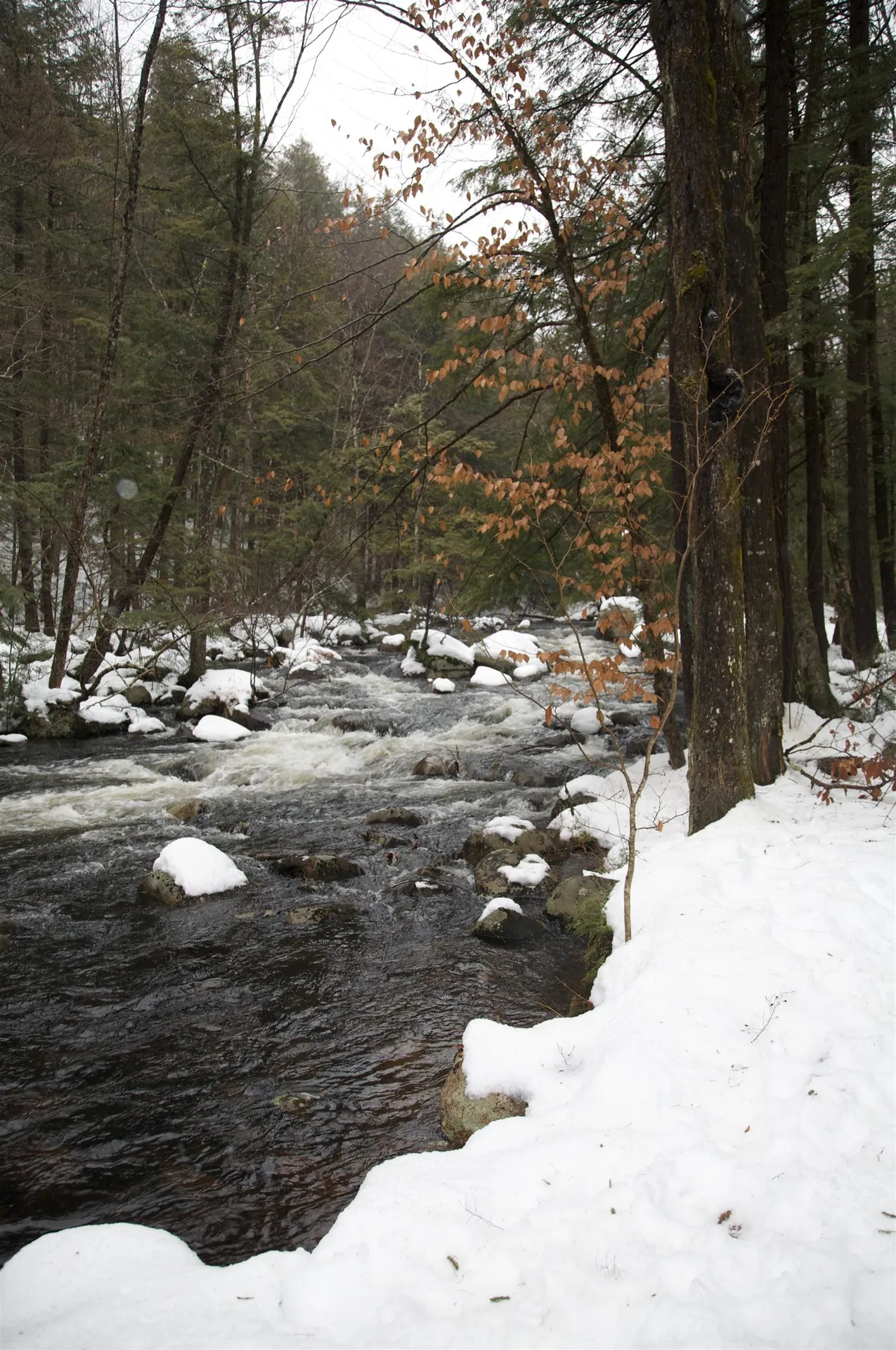 481 Chocorua Mountain Highway Tamworth NH 03886