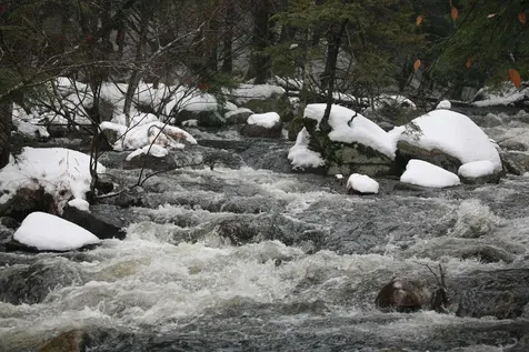 481 Chocorua Mountain Highway Tamworth NH 03886